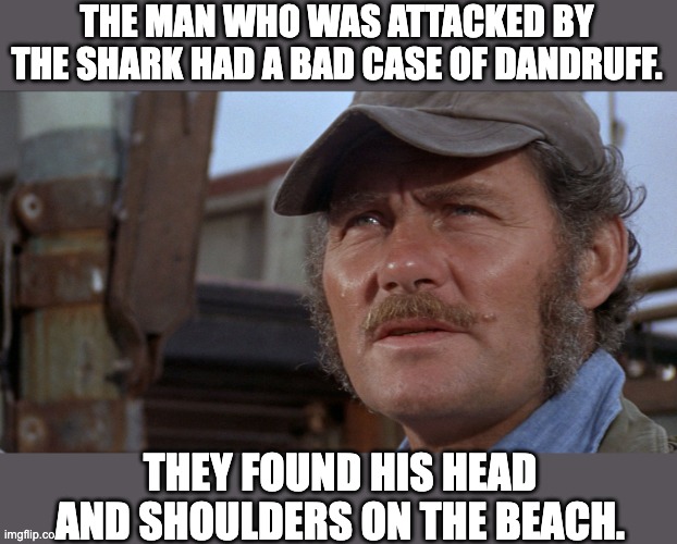 Jaws | THE MAN WHO WAS ATTACKED BY THE SHARK HAD A BAD CASE OF DANDRUFF. THEY FOUND HIS HEAD AND SHOULDERS ON THE BEACH. | image tagged in bad pun | made w/ Imgflip meme maker