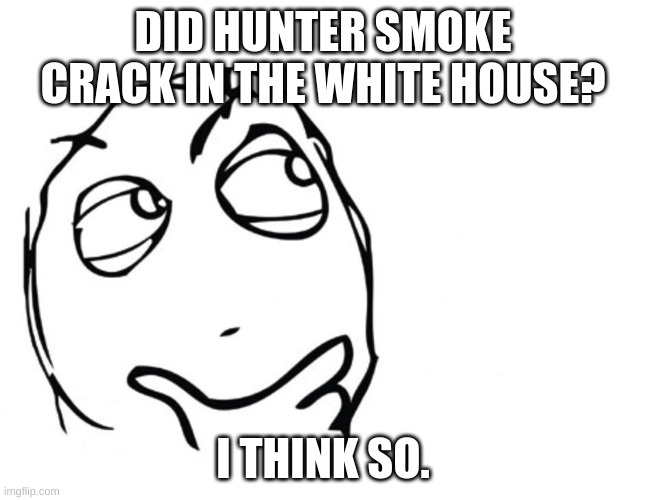 hmmm | DID HUNTER SMOKE CRACK IN THE WHITE HOUSE? I THINK SO. | image tagged in blank white template,hunter,white house,politics,fun | made w/ Imgflip meme maker