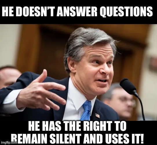 Wray | HE DOESN’T ANSWER QUESTIONS; HE HAS THE RIGHT TO REMAIN SILENT AND USES IT! | image tagged in chris wray fbi | made w/ Imgflip meme maker