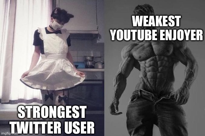 Strongest Fan VS Weakest Fan | WEAKEST YOUTUBE ENJOYER; STRONGEST TWITTER USER | image tagged in strongest fan vs weakest fan | made w/ Imgflip meme maker