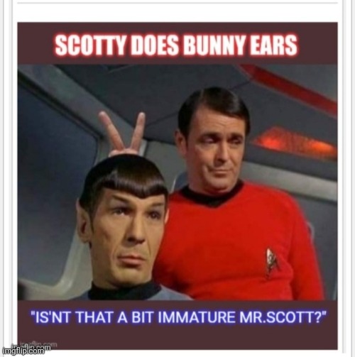 To Boldly Bunny-ear... | image tagged in star trek,bunny | made w/ Imgflip meme maker