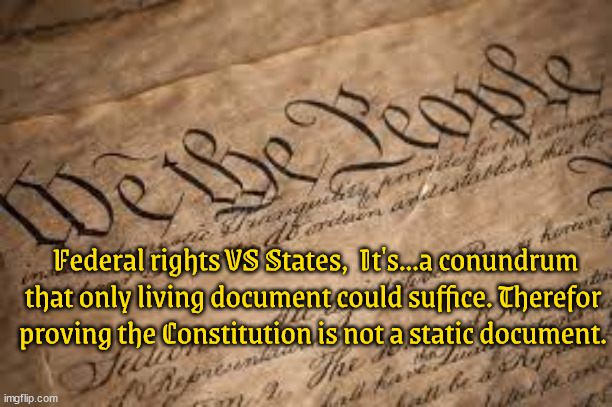 This is conundrum... | Federal rights VS States,  It's...a conundrum that only living document could suffice. Therefor proving the Constitution is not a static document. | image tagged in us constittuion,rights,mans laws,humane,democracy,republic | made w/ Imgflip meme maker