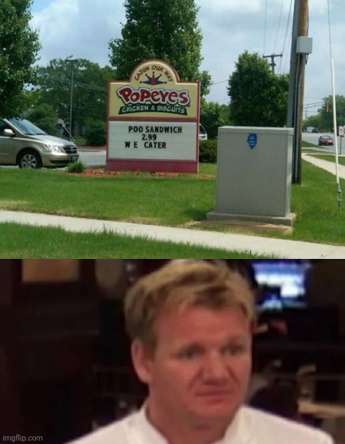 "Poo sandwich" | image tagged in disgusted gordon ramsay,popeyes,sandwich,sandwiches,memes,restaurant | made w/ Imgflip meme maker