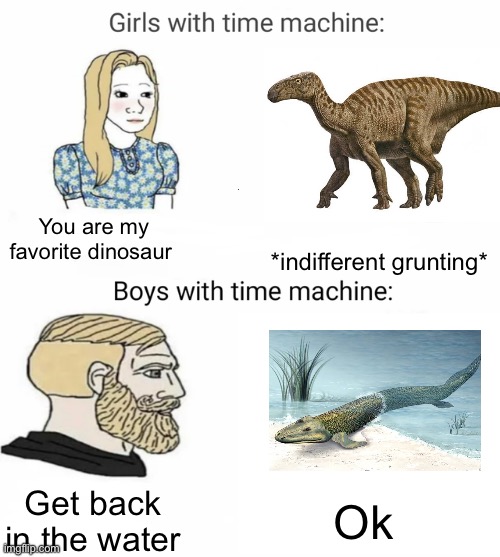 Dinosaur memes v3 | You are my favorite dinosaur; *indifferent grunting*; Get back in the water; Ok | image tagged in time machine | made w/ Imgflip meme maker