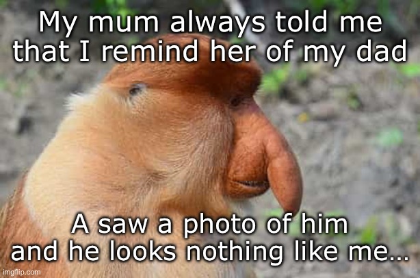 Strange thing to say | My mum always told me that I remind her of my dad; A saw a photo of him and he looks nothing like me… | image tagged in x-rated monkey | made w/ Imgflip meme maker