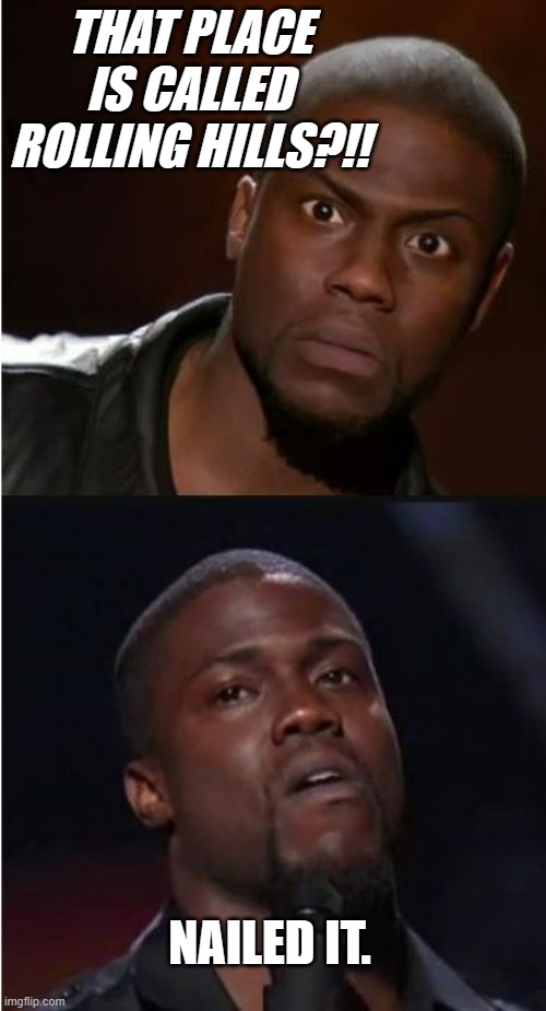 kevin hart reaction | THAT PLACE IS CALLED ROLLING HILLS?!! NAILED IT. | image tagged in kevin hart reaction | made w/ Imgflip meme maker