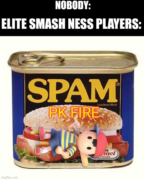 That's why you should never let kids play with fire | NOBODY:; ELITE SMASH NESS PLAYERS:; PK FIRE | image tagged in spam,memes,super smash bros,elite,bruh | made w/ Imgflip meme maker