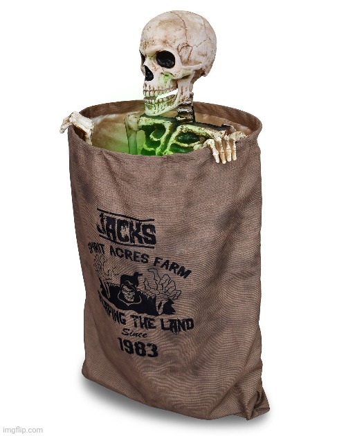 Bag O' Bones | image tagged in spirit halloween,halloween | made w/ Imgflip meme maker