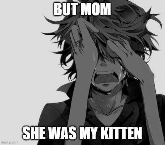 but mom | BUT MOM; SHE WAS MY KITTEN | image tagged in edgy anime boy | made w/ Imgflip meme maker