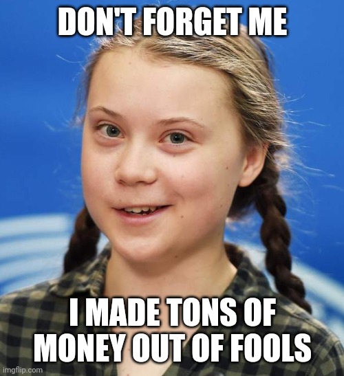 Greta Thunberg | DON'T FORGET ME I MADE TONS OF MONEY OUT OF FOOLS | image tagged in greta thunberg | made w/ Imgflip meme maker