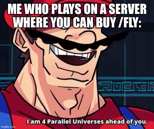 I Am 4 Parallel Universes Ahead Of You | ME WHO PLAYS ON A SERVER WHERE YOU CAN BUY /FLY: | image tagged in i am 4 parallel universes ahead of you | made w/ Imgflip meme maker