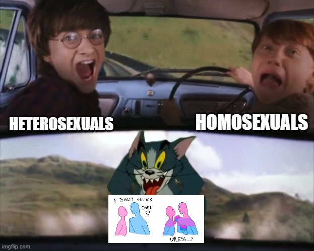 Tom chasing Harry and Ron Weasly | HETEROSEXUALS HOMOSEXUALS | image tagged in tom chasing harry and ron weasly | made w/ Imgflip meme maker