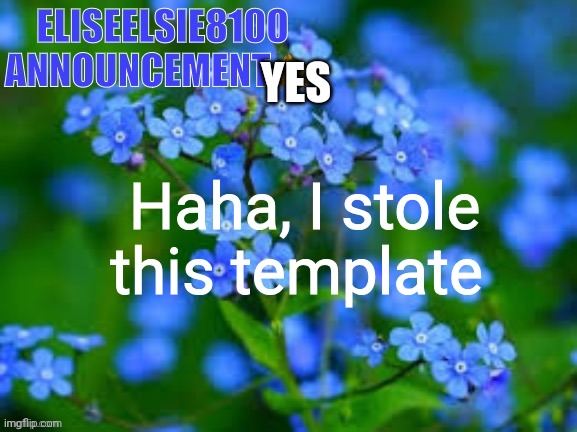 screw it | YES; Haha, I stole this template | image tagged in eliseelsie8100 announcement | made w/ Imgflip meme maker