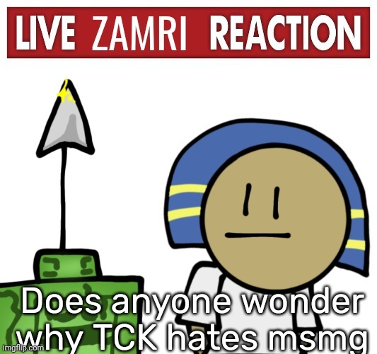 No jokes, I'm actually curious | Does anyone wonder why TCK hates msmg | image tagged in live zamri reaction | made w/ Imgflip meme maker