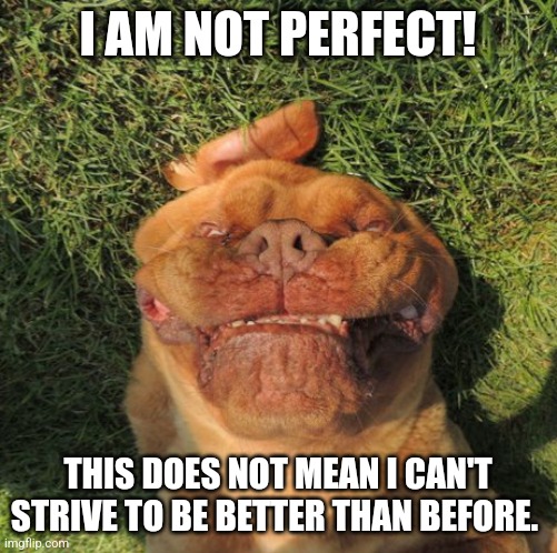 Not Perfect | I AM NOT PERFECT! THIS DOES NOT MEAN I CAN'T STRIVE TO BE BETTER THAN BEFORE. | image tagged in perfection,life is good but it can be better,strive,inspirational | made w/ Imgflip meme maker