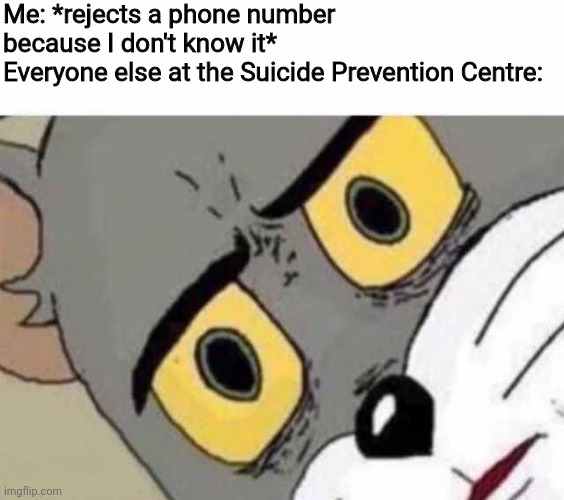 Tom Cat Unsettled Close up | Me: *rejects a phone number because I don't know it*
Everyone else at the Suicide Prevention Centre: | image tagged in tom cat unsettled close up | made w/ Imgflip meme maker