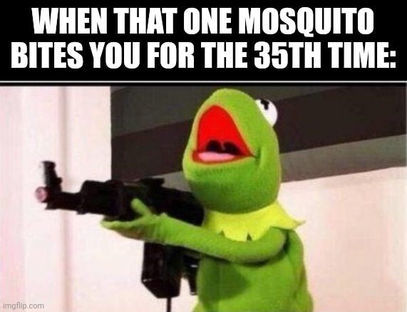 kermit with ak 47 | WHEN THAT ONE MOSQUITO BITES YOU FOR THE 35TH TIME: | image tagged in kermit with ak 47 | made w/ Imgflip meme maker
