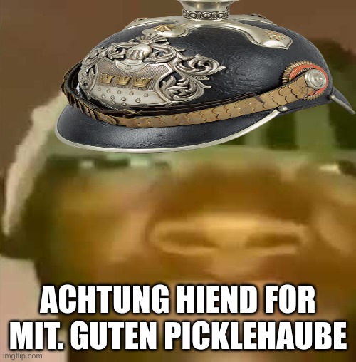 ACHTUNG HIEND FOR MIT. GUTEN PICKLEHAUBE | made w/ Imgflip meme maker