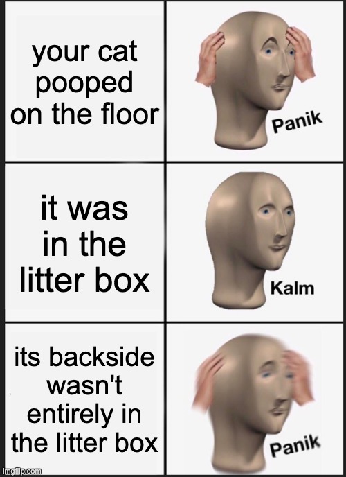I pooped on the floor | your cat pooped on the floor; it was in the litter box; its backside wasn't entirely in the litter box | image tagged in memes,panik kalm panik | made w/ Imgflip meme maker