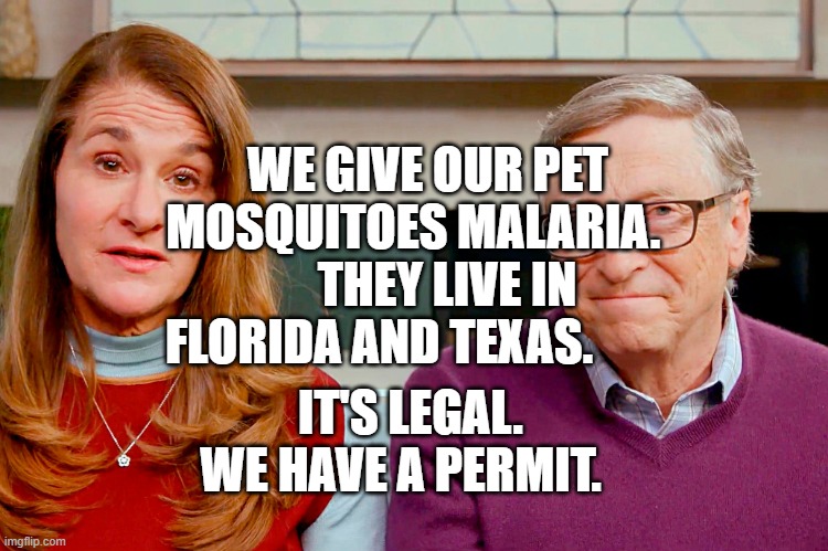 Melinda & Bill Gates | WE GIVE OUR PET MOSQUITOES MALARIA.        THEY LIVE IN FLORIDA AND TEXAS. IT'S LEGAL. WE HAVE A PERMIT. | image tagged in melinda bill gates | made w/ Imgflip meme maker