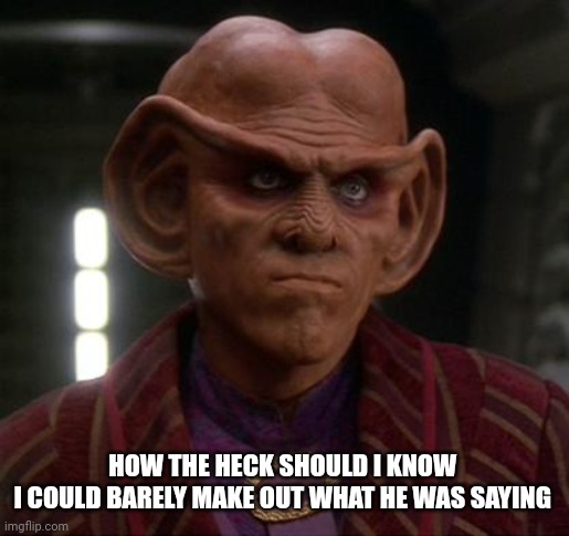 Quark unimpressed | HOW THE HECK SHOULD I KNOW 
I COULD BARELY MAKE OUT WHAT HE WAS SAYING | image tagged in quark unimpressed | made w/ Imgflip meme maker