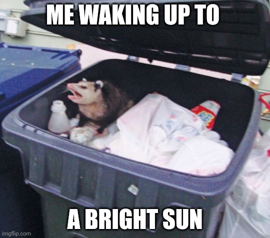 Possums are just amazing | ME WAKING UP TO; A BRIGHT SUN | image tagged in trash possum | made w/ Imgflip meme maker