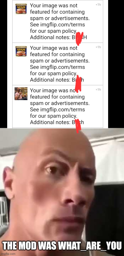 Bruh | THE MOD WAS WHAT_ARE_YOU | image tagged in the rock eyebrows,memes,terrible,moderators | made w/ Imgflip meme maker