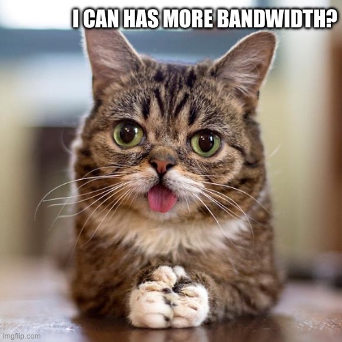 I can has more bandwidth | I CAN HAS MORE BANDWIDTH? | image tagged in i can has more bandwidth | made w/ Imgflip meme maker