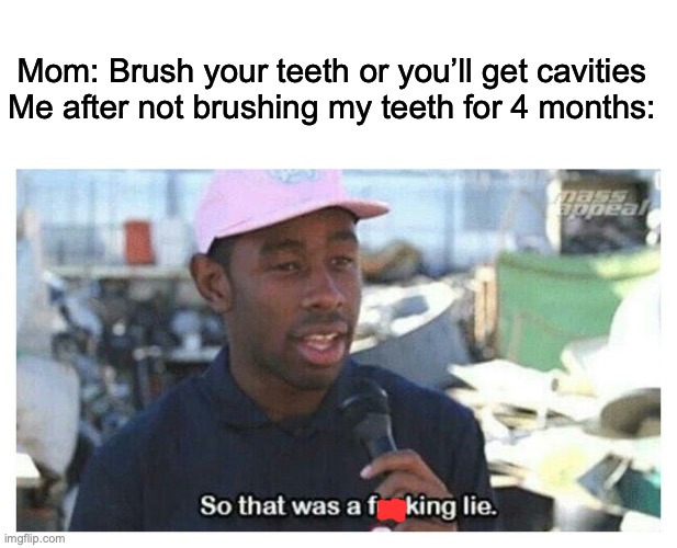 ik you can get cavities but its a meme, im joking | Mom: Brush your teeth or you’ll get cavities
Me after not brushing my teeth for 4 months: | image tagged in so that was a f---ing lie | made w/ Imgflip meme maker