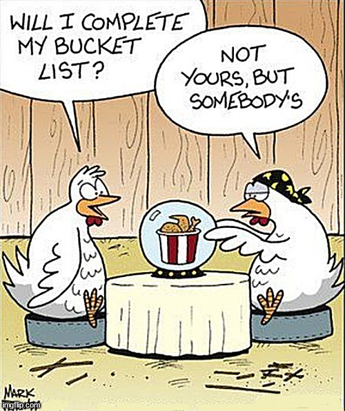 the chicken bucket list paradox | image tagged in comics,memes,bucket list,chicken | made w/ Imgflip meme maker