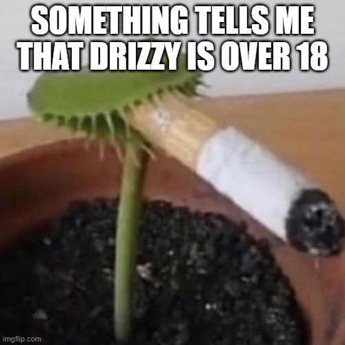 Plant smoking a cigarette | SOMETHING TELLS ME THAT DRIZZY IS OVER 18 | image tagged in plant smoking a cigarette | made w/ Imgflip meme maker