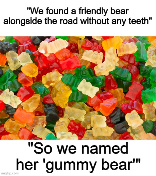 Get it? :] | "We found a friendly bear alongside the road without any teeth"; "So we named her 'gummy bear'" | made w/ Imgflip meme maker