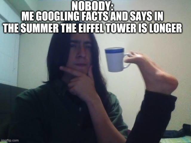 What | NOBODY:; ME GOOGLING FACTS AND SAYS IN THE SUMMER THE EIFFEL TOWER IS LONGER | image tagged in hmmmm,shower thoughts,what,is,going on,i wanna be like iceu | made w/ Imgflip meme maker