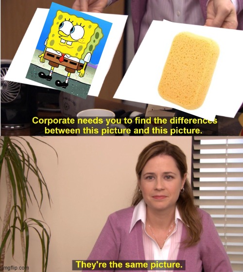 They're The Same Picture | image tagged in memes,they're the same picture | made w/ Imgflip meme maker