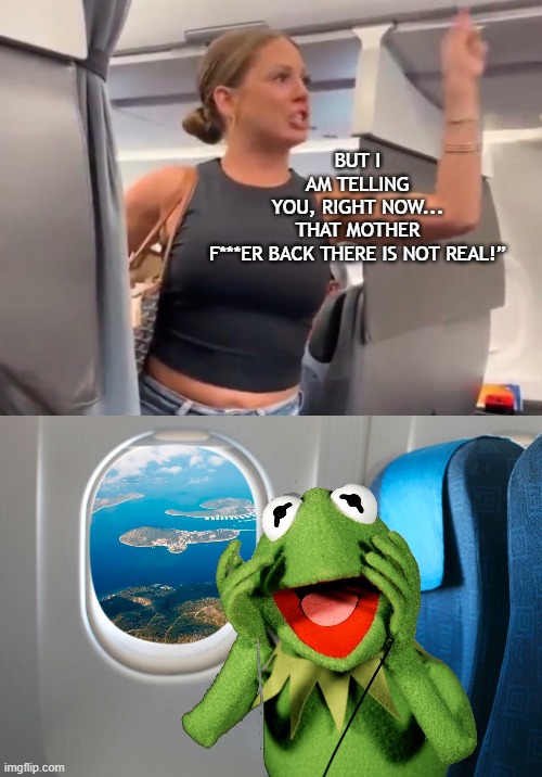 What she really saw. | BUT I AM TELLING YOU, RIGHT NOW...

THAT MOTHER F***ER BACK THERE IS NOT REAL!” | image tagged in kermit on a plane,crazy,airplane,lady | made w/ Imgflip meme maker