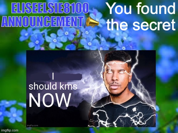 You found the secret | image tagged in eliseelsie8100 announcement | made w/ Imgflip meme maker