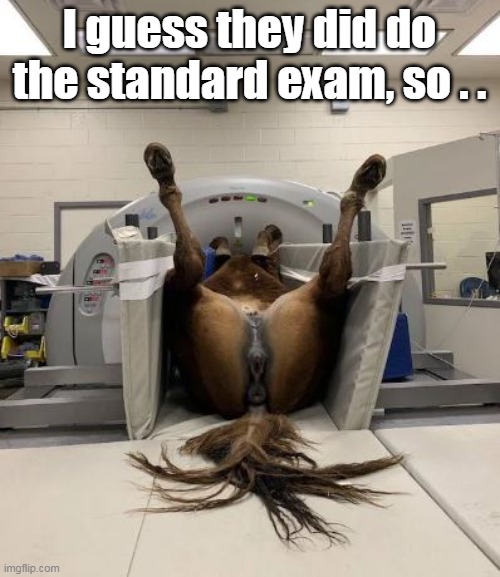 I guess they did do the standard exam, so . . | made w/ Imgflip meme maker