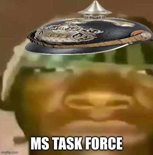 Ww1 soldier | MS TASK FORCE | image tagged in ww1 soldier | made w/ Imgflip meme maker