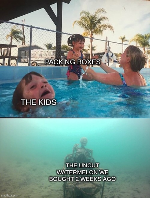 Moving life | PACKING BOXES; THE KIDS; THE UNCUT WATERMELON WE BOUGHT 2 WEEKS AGO | image tagged in mother ignoring kid drowning in a pool,moving | made w/ Imgflip meme maker