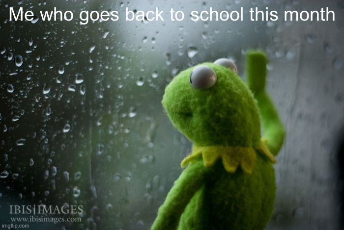 kermit window | Me who goes back to school this month | image tagged in kermit window | made w/ Imgflip meme maker