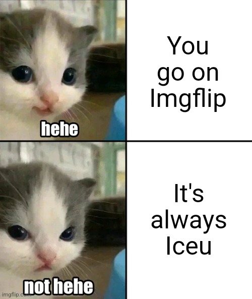 cute cat meme generator