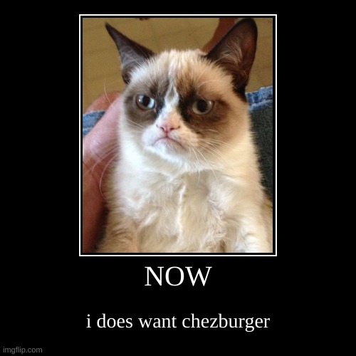 chesburgor | NOW | i does want chezburger | image tagged in funny,demotivationals | made w/ Imgflip demotivational maker