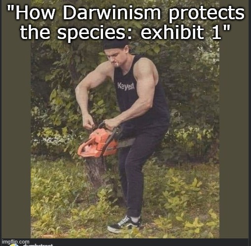 I love how Natural Selection works! | "How Darwinism protects the species: exhibit 1" | image tagged in darwin award,funny memes,chainsaw man | made w/ Imgflip meme maker