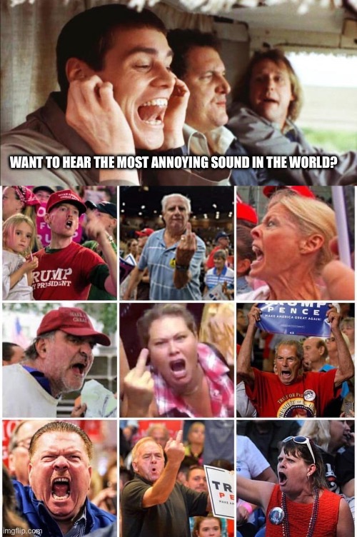 WANT TO HEAR THE MOST ANNOYING SOUND IN THE WORLD? | image tagged in the most annoying sound,triggered trump supporters | made w/ Imgflip meme maker