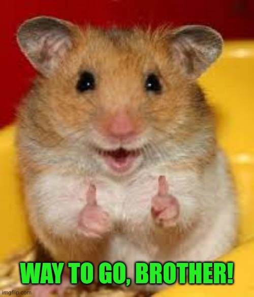 Thumbs up hamster  | WAY TO GO, BROTHER! | image tagged in thumbs up hamster | made w/ Imgflip meme maker