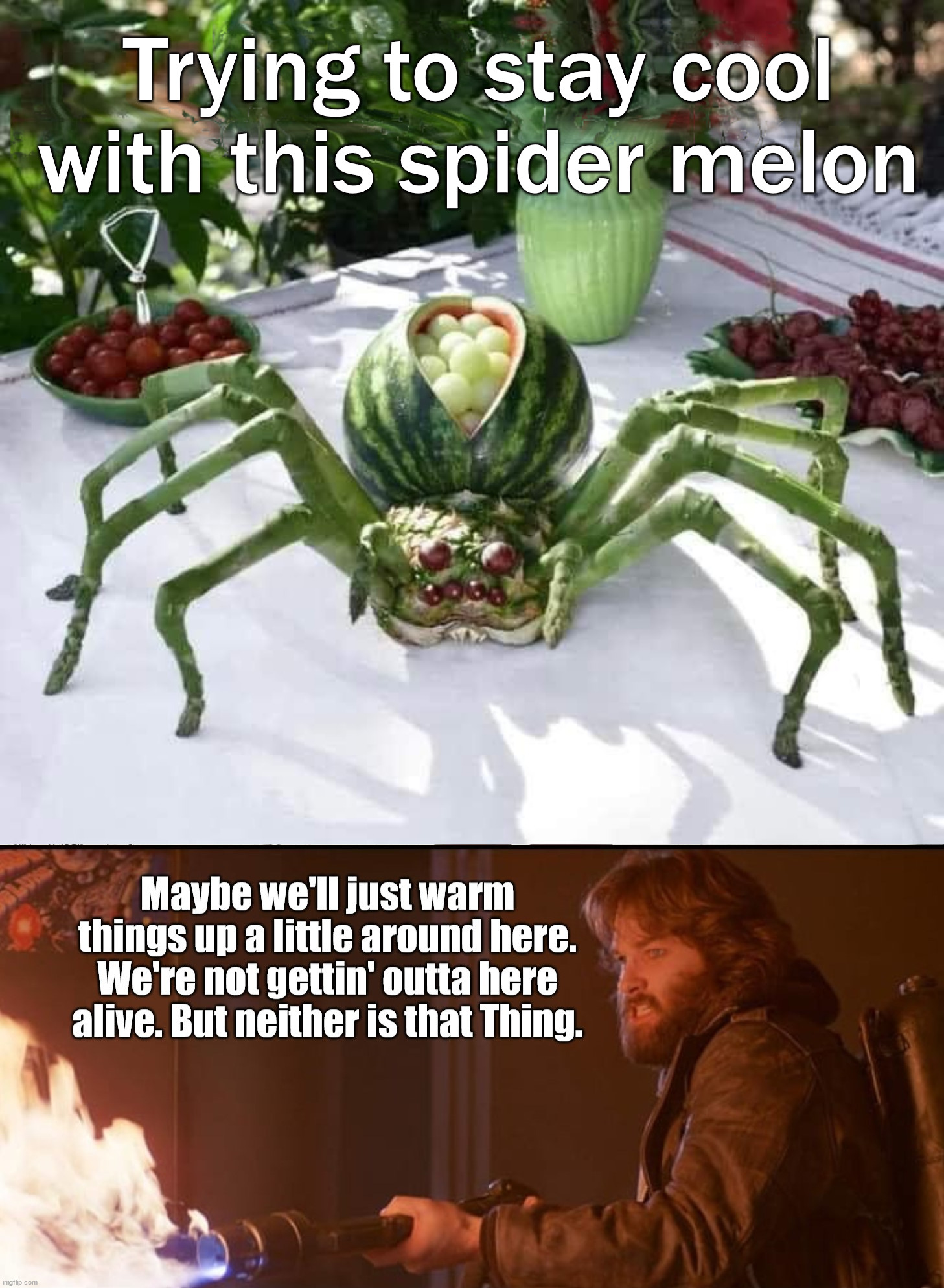 Have a nice grape egg | Trying to stay cool with this spider melon | image tagged in spider,the thing,heated,cool,watermelon,grapes | made w/ Imgflip meme maker