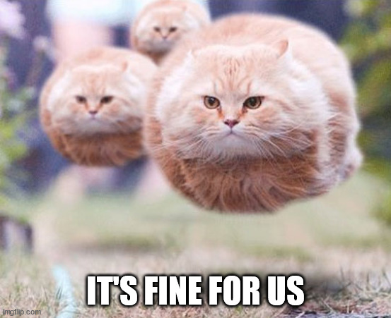 Flying cats | IT'S FINE FOR US | image tagged in flying cats | made w/ Imgflip meme maker