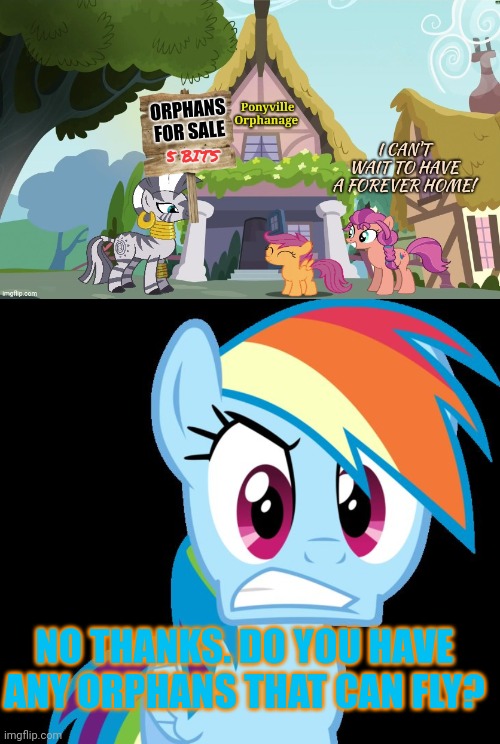 Pony racism | NO THANKS. DO YOU HAVE ANY ORPHANS THAT CAN FLY? | image tagged in mad rainbow dash,pony,racism | made w/ Imgflip meme maker