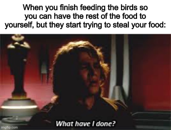 Oh shoot 0-0 | When you finish feeding the birds so you can have the rest of the food to yourself, but they start trying to steal your food: | image tagged in what have i done | made w/ Imgflip meme maker