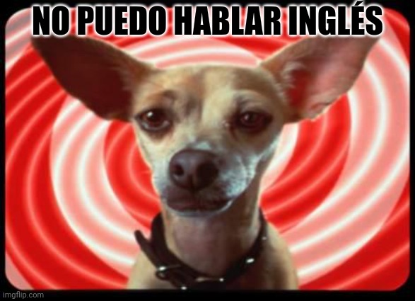 pero ¿por qué | NO PUEDO HABLAR INGLÉS | image tagged in taco bell dog | made w/ Imgflip meme maker